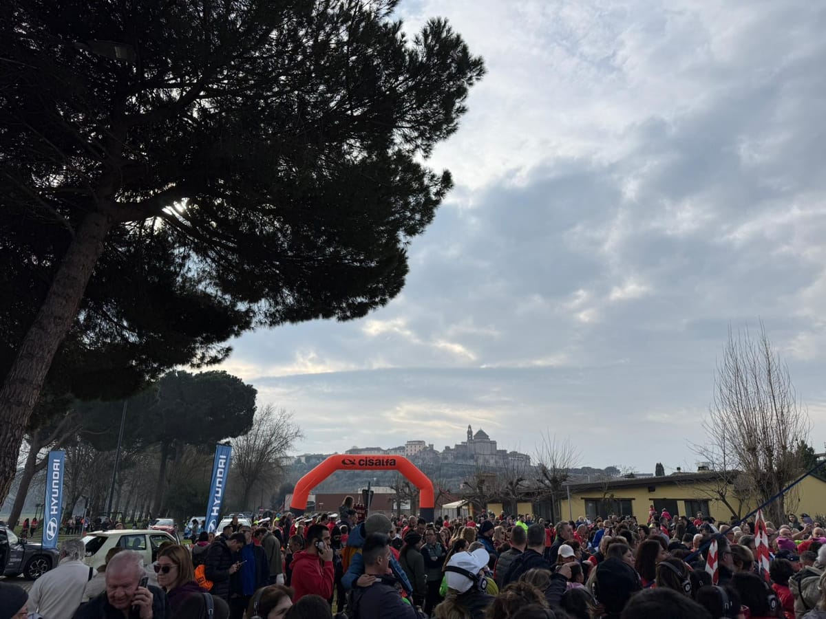 Alissas Aufstieg in die Königsklasse